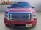 2013 Ford F-150 Platinum